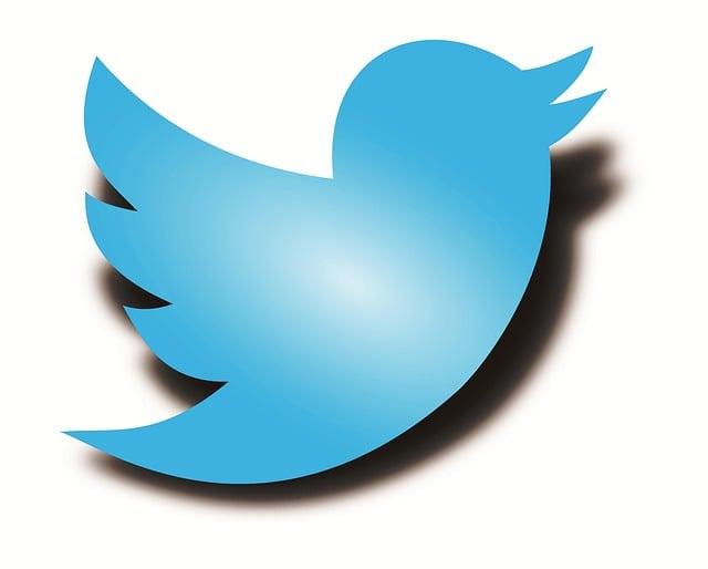 Unlocking the Twitter Blue Check: Subscription-Based Verification Process