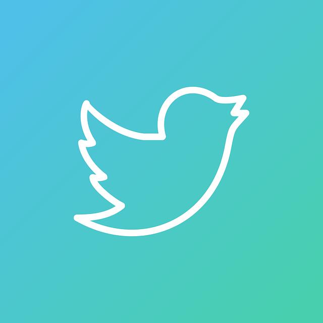 Recommendations for Maintaining Twitter Blue Verification